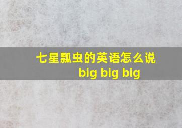 七星瓢虫的英语怎么说big big big